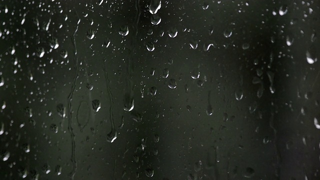 雨滴视频素材