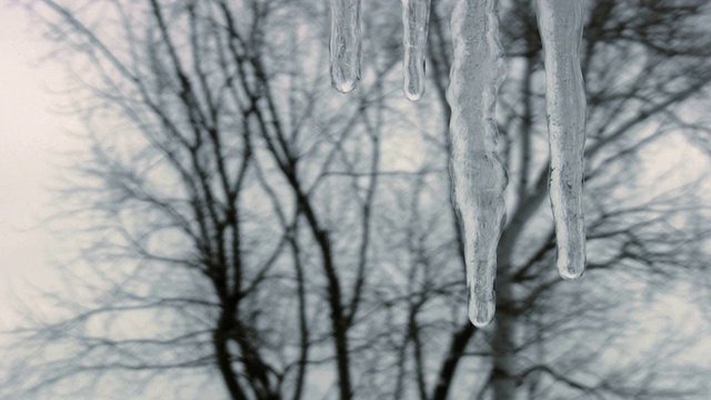 霜，冰，冰柱，冰，融化，自然，户外，雪，天气，冬天视频素材