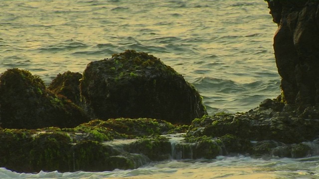 斯里兰卡西部省份科伦坡的Block Shot Rocks海滩视频素材
