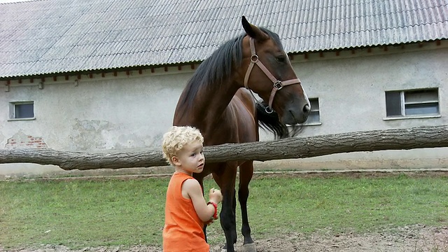 HD:骑马的小男孩视频下载