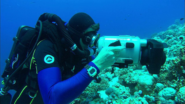呼吸潜水员拿着相机拍摄珊瑚礁和游泳硬珊瑚礁，埃及，红海视频下载