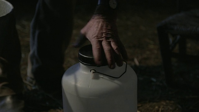 C/U装满一桶刚挤好的牛奶视频素材