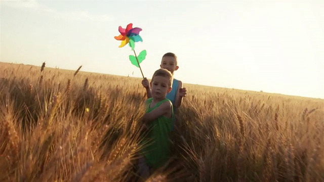 孩子们在麦田里奔跑视频素材