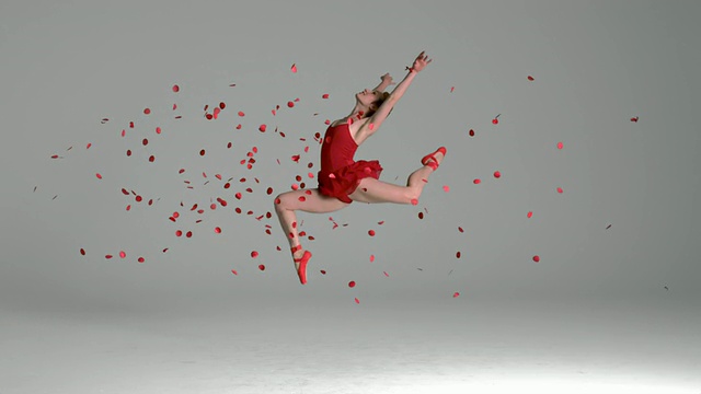 芭蕾舞者穿过红色花瓣的慢动作视频素材