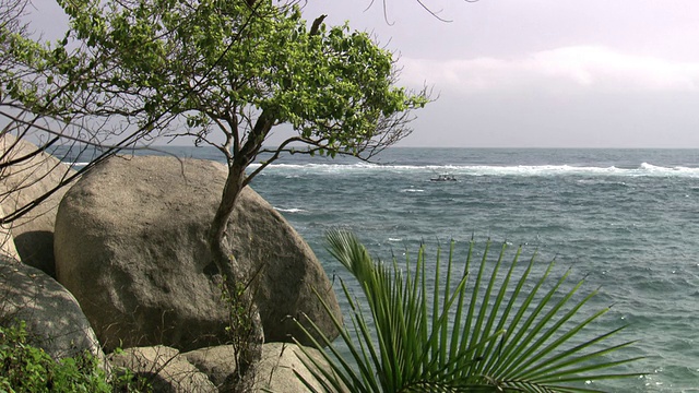 哥伦比亚内华达山脉的泰罗纳国家自然公园，树木，树叶和岩石，后面是波涛汹涌的蓝色海洋上的小渔船视频下载