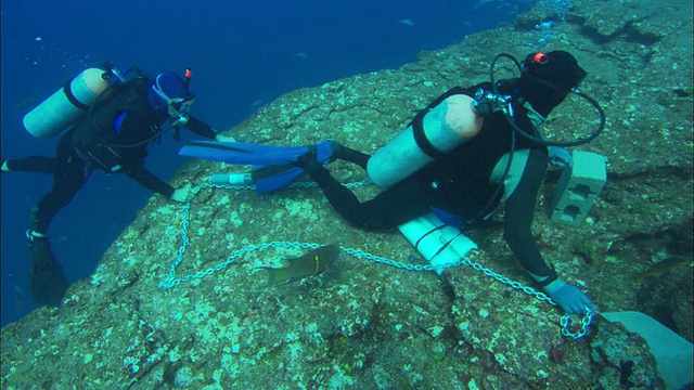 科学家潜水员，在墨西哥海床上装配声波接收器视频素材