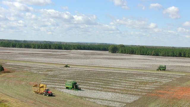 美国阿拉巴马州劳伦斯县的棉花田和收割机在梳理农场的鸟瞰图视频素材