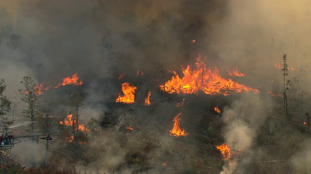 在塔斯卡卢萨县/阿拉巴马州，美国，直升机飞过火灾和烟雾燃烧的森林，拉出显示在天空中上升的火焰和直升机视频下载
