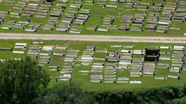 美国阿拉巴马州，非洲镇，莫比尔，老高原墓地的WS空中ZI视图视频下载