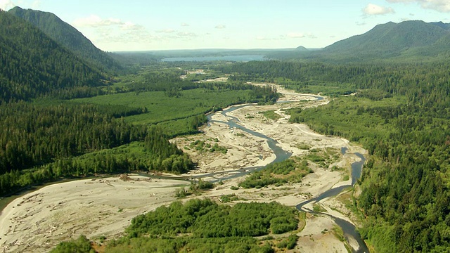WS鸟瞰图的河床与湖泊在Quinault山谷/华盛顿，美国视频素材