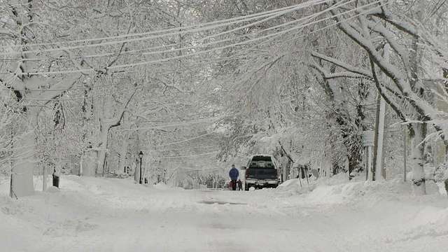 积雪覆盖的街道，有许多树木和行人视频素材