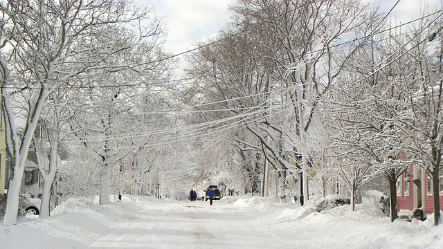 白雪覆盖的街道上有很多树和两个行人视频素材