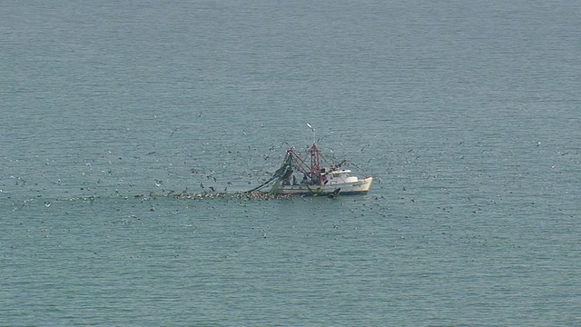 鸟群飞过捕虾船/北卡罗莱纳，美国视频素材
