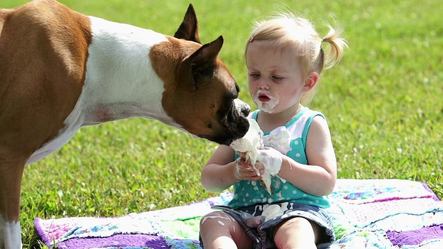 拳师犬，小女孩和冰淇淋蛋筒视频素材