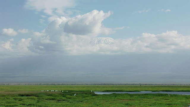 非洲草原/塞伦盖蒂，肯尼亚上空云移动的WS T/L视图视频下载