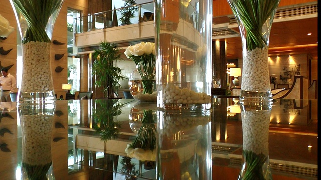 MS拍摄的酒店大堂/德里，印度视频下载