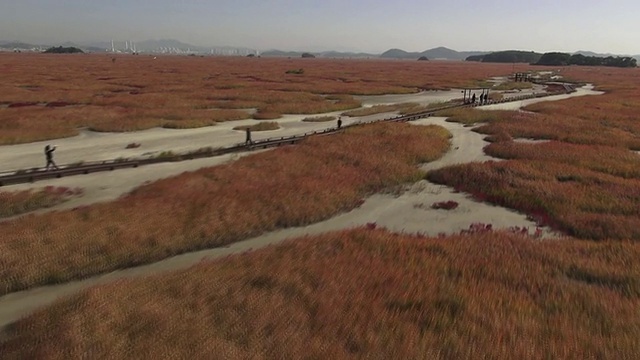 韩国京畿道华城恐龙蛋化石遗址的MS航拍视频素材