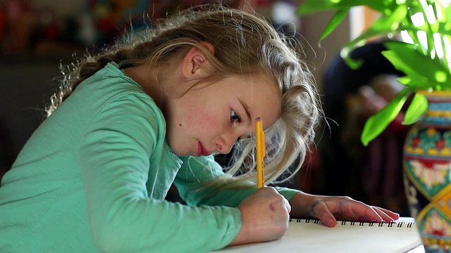 MS TD年轻女孩在她的笔记本上画画/拉米，新墨西哥，美国视频素材