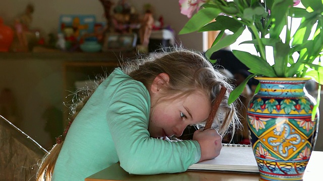 小女孩在她的笔记本上画画/美国新墨西哥州拉米视频素材