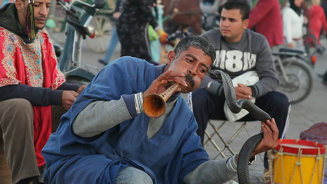 在摩洛哥中部北部的Fes大街上，一名男子手拿眼镜蛇吹着长笛视频下载