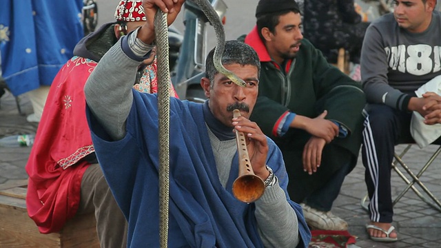 一名男子在街道上吹着笛子，手握蛇，摩洛哥视频下载