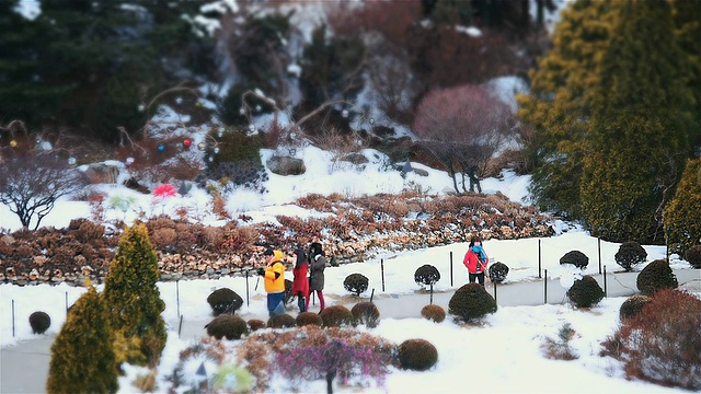 MS T/L摄于圣诞假期，人们在加平阿钦果植物园漫步和享受。/加平，庆畿道，韩国视频素材