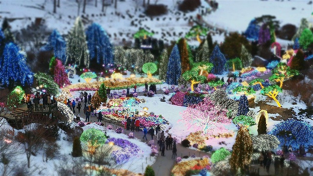 WS T/L在Achimgoyo植物园的人们在圣诞假期/加平，庆畿道，韩国视频素材