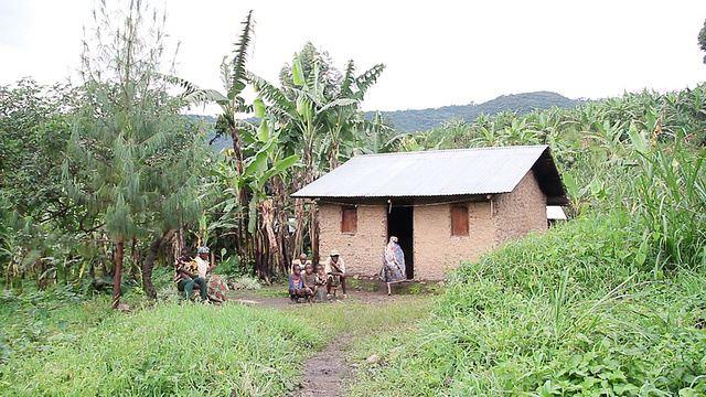 乌干达卡巴莱，森林/基盖兹，一家人坐在小木屋前的原木上视频素材