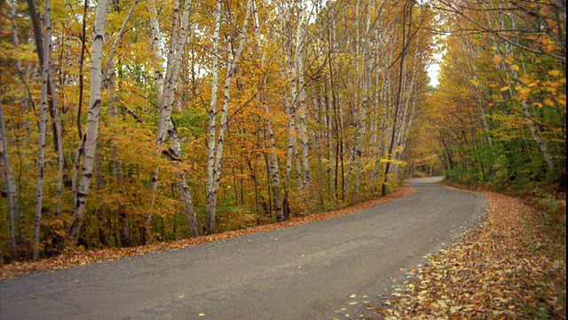 高速越野车在乡村道路两旁的秋天树木/佛蒙特州视频素材