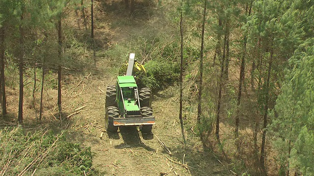 美国密西西比州汉考克县，伐木工人在伐木时拖着树视频下载