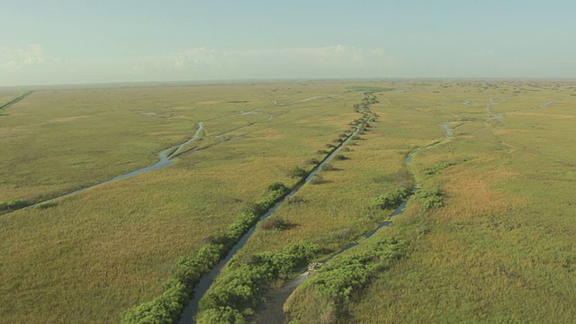 沼泽景观的WS鸟瞰图/佛罗里达，美国视频素材