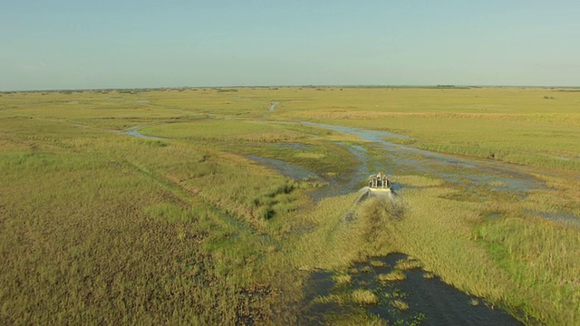 MS鸟瞰图飞艇通过沼泽/佛罗里达，美国视频素材