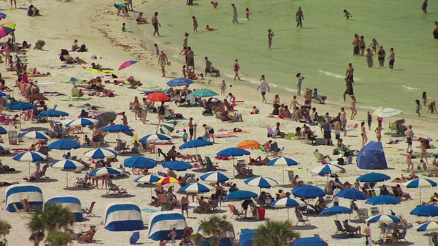 美国佛罗里达州的清水海滩，成群的海滩游客穿着泳衣，撑着雨伞视频素材