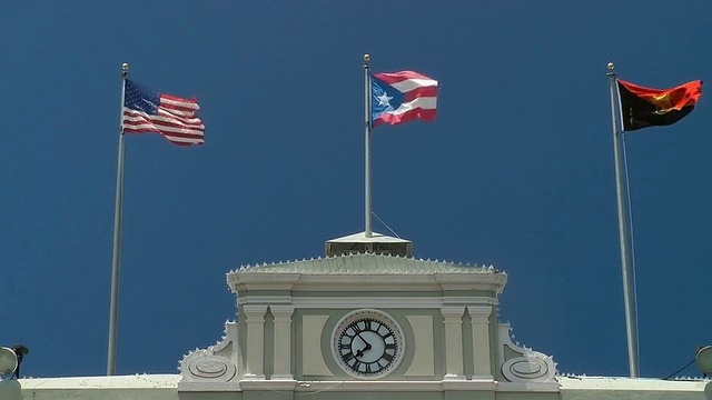 旗帜在政府大楼顶上飘扬视频素材
