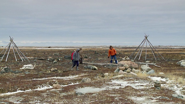 WS拍摄的人们收集木杆建造圆锥形帐篷/ Arviat, Nunavut，加拿大视频素材