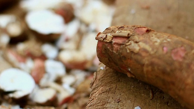 CU SLO MO切木薯根的砍刀/琅勃拉邦，老挝视频下载