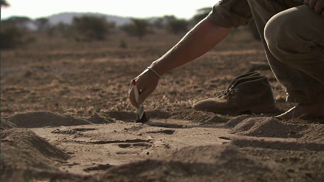 介质静电-考古学家刷去挖掘现场的泥土。/坦桑尼亚视频下载