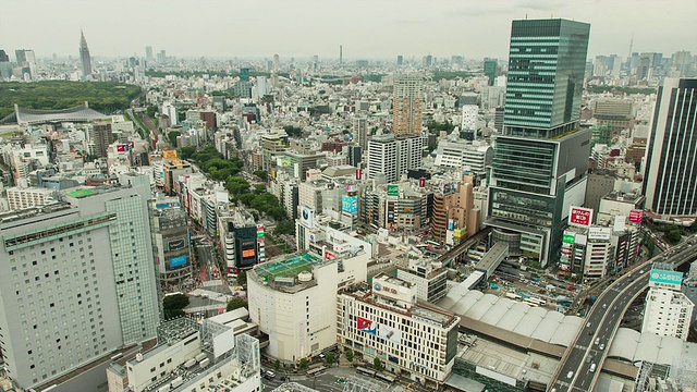 WS T/L涩谷地区与新建的光理大厦和代代木公园在远处/日本东京视频素材