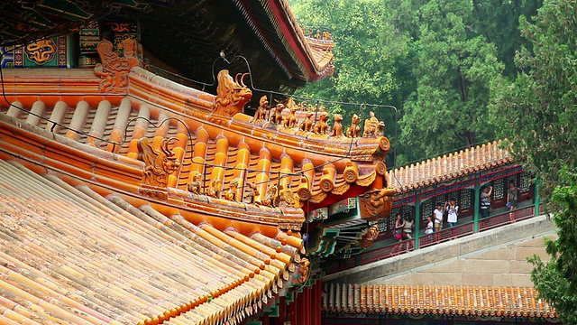 中国北京颐和园游客合影视频素材