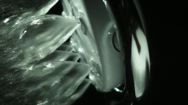 CU PAN SLO MO的镜头从淋浴头流出的水冲到黑色/英国视频素材