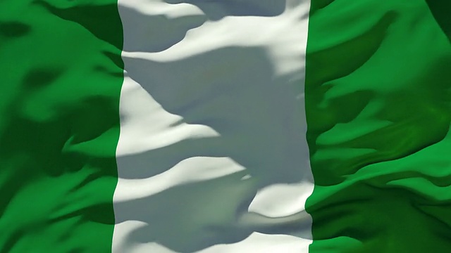 尼日利亚的旗帜视频下载