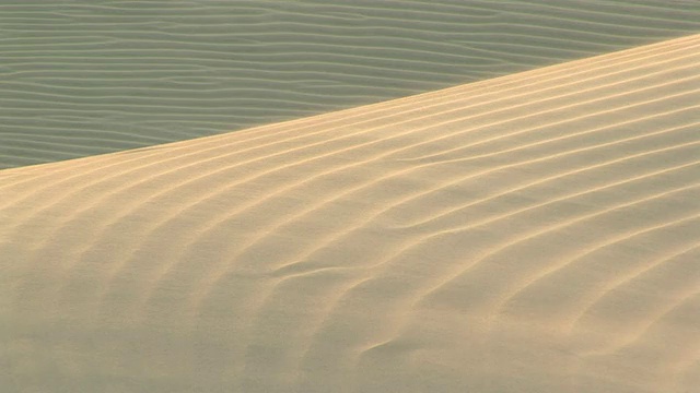 WS TD沙丘受风影响的沙子细节/ Ilha dos Lencois, Maranhao，巴西视频素材