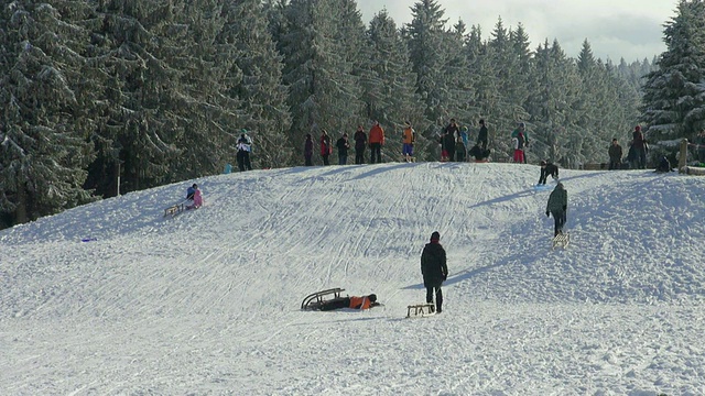 儿童在雪地上滑雪的照片/埃尔别斯科普夫，亨斯拉克，莱茵兰-普法尔茨，德国视频素材