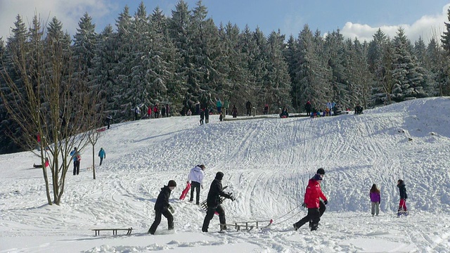 儿童在雪地上滑雪的照片/埃尔别斯科普夫，亨斯拉克，莱茵兰-普法尔茨，德国视频素材