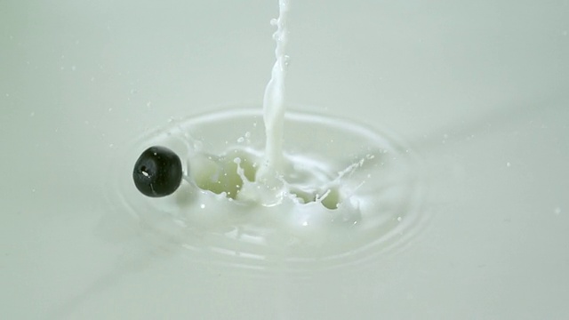 CU SLO MO将蓝莓掉进牛奶中，导致溅起水/ Studio，新泽西州，美国视频素材