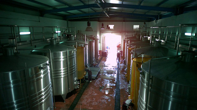 WS SLO MO拍摄的男子在不锈钢酒桶中工作/埃尔戈纳，红海，埃及视频下载