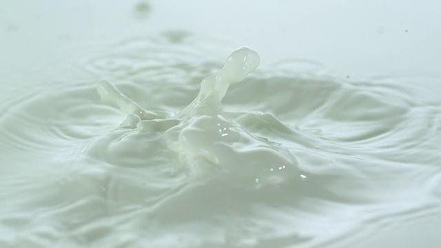CU SLO MO将两颗草莓掉入牛奶中，导致溅起水/ Studio，新泽西州，美国视频素材