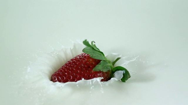 CU SLO MO将草莓掉落到牛奶中，造成溅水/ Studio，新泽西州，美国视频素材