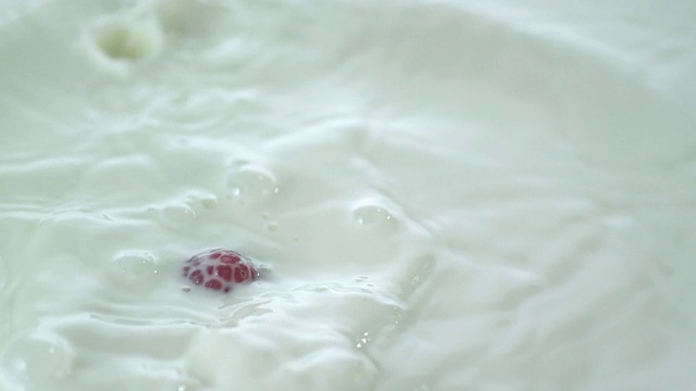 CU SLO MO将许多覆盆子掉落到牛奶中，造成溅水/ Studio，新泽西州，美国视频素材