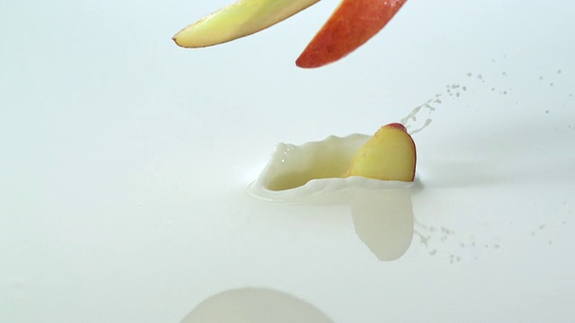 慢镜头近距离滴许多桃子到牛奶中，造成飞溅，以白色背景/工作室，新泽西，美国视频素材